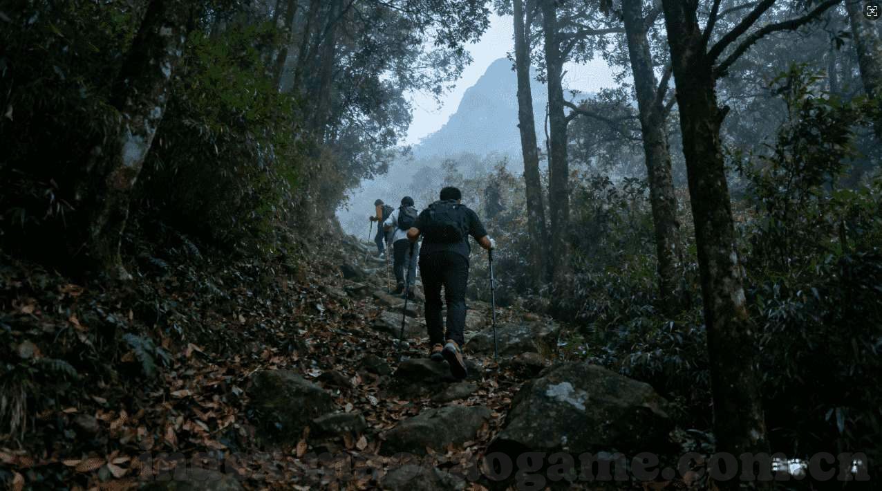 问鼎app下载官网网址-探索极致便捷，问鼎APP官方下载渠道与卓越体验解读